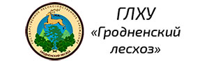 Гродненский Лесхоз